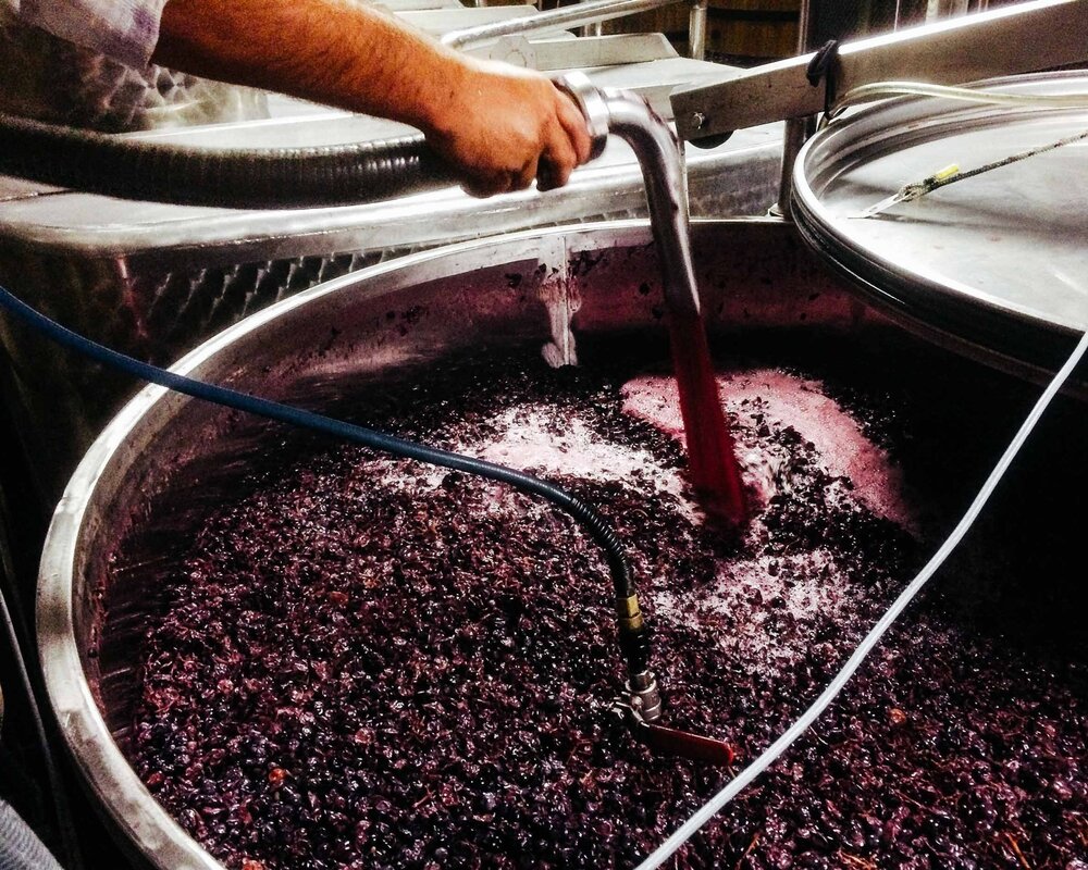Grapes.jpg